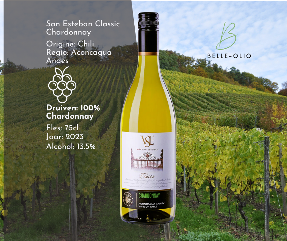 San Esteban Classic Chardonnay - verfrissend geurend naar citrus en tropisch fruit