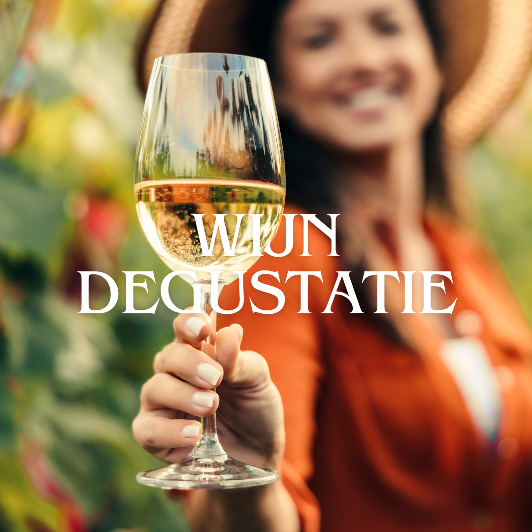 Wijnproeverij - Ontdek wereldse topwijnen