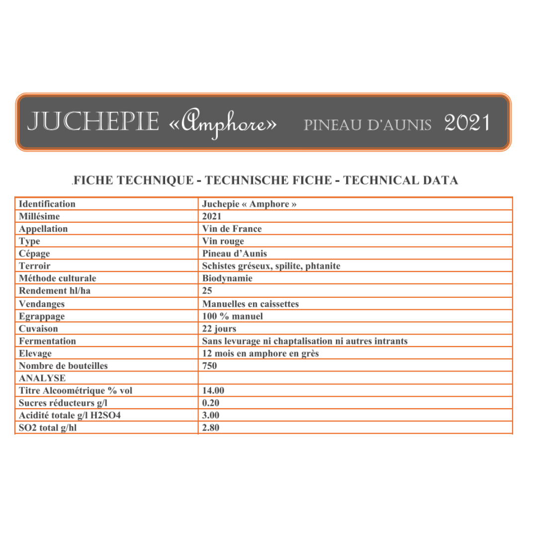 Domaine De Juchepie AMPHORE - 2021 - Rood - Loirevallei.