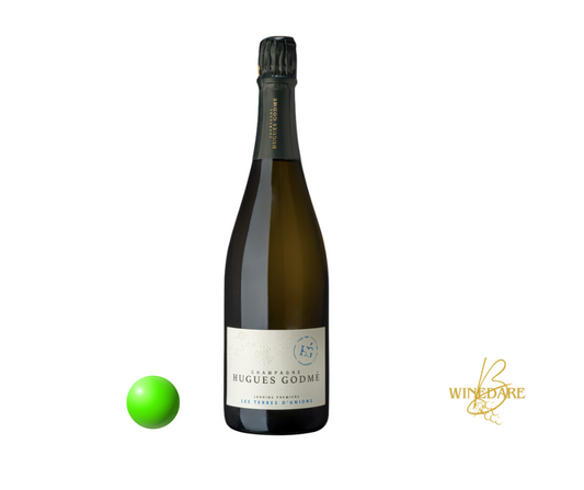 Champagne Hugues Godmé Les Terres d'Unions (Brut Nature)