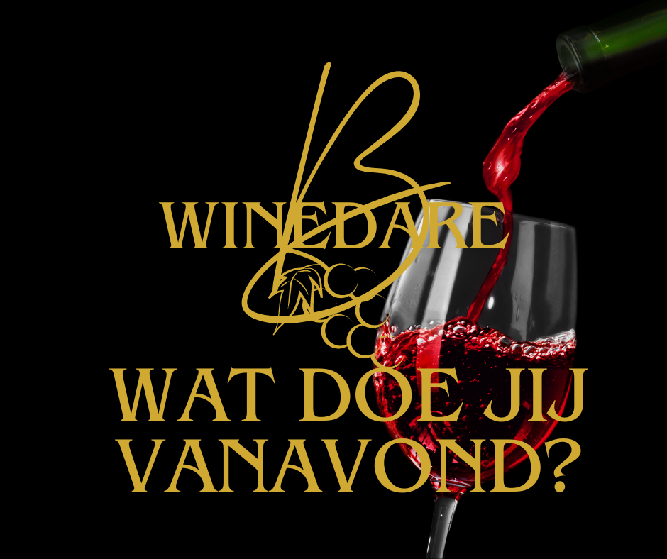 Let's dive into Malbec: Een Wereldse Wijnbeleving