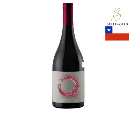 Clos de Luz Azuda Concreto Carménère – Sappige en verfijnde Carménère van granietbodems